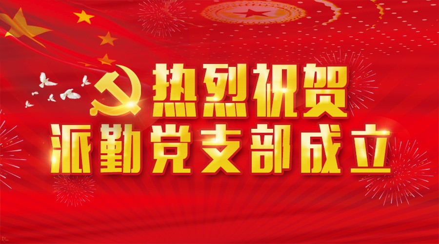 派勤公司成立黨支部 以黨建工作激發企業凝聚力